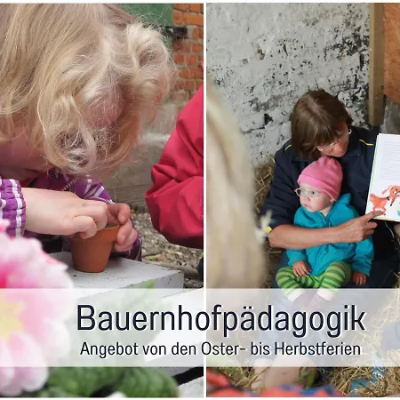 Bio Wichtelweide - Thymian Fehmarn