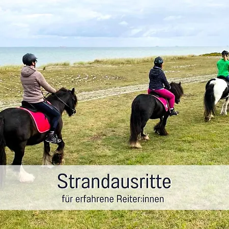 Bio Wichtelweide - Thymian Apartament Fehmarn