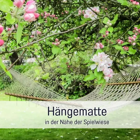 Bio Wichtelweide - Thymian *