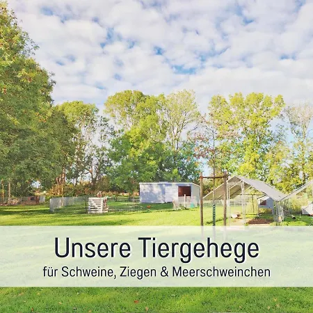 Bio Wichtelweide - Thymian *