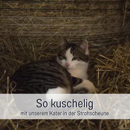 Bio Wichtelweide - Thymian Apartament