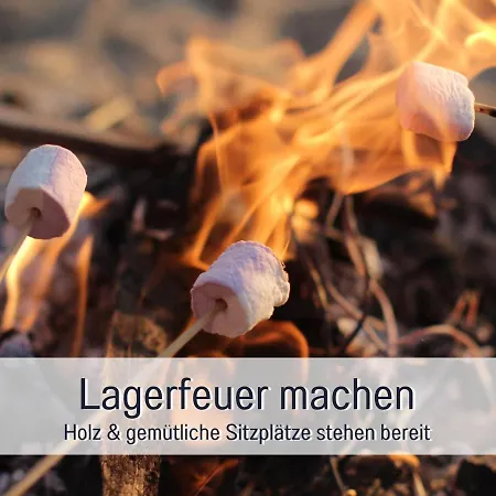 Bio Wichtelweide - Thymian