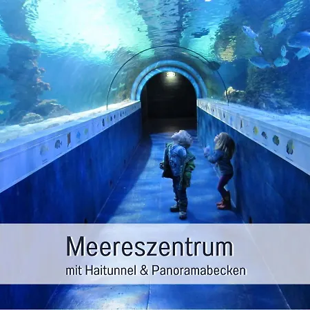 Bio Wichtelweide - Thymian *