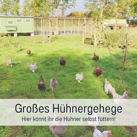 Bio Wichtelweide - Thymian Fehmarn