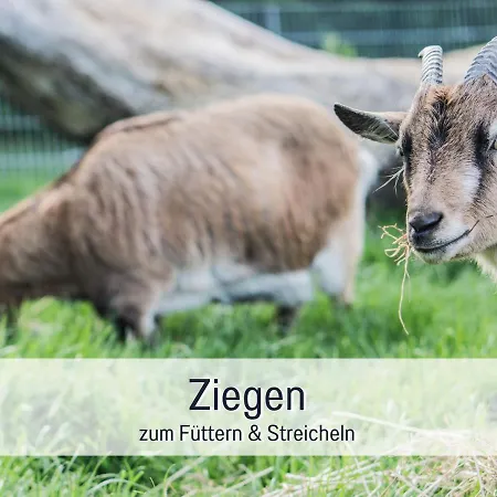 Bio Wichtelweide - Thymian