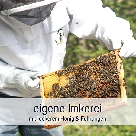 Bio Wichtelweide - Thymian * Fehmarn