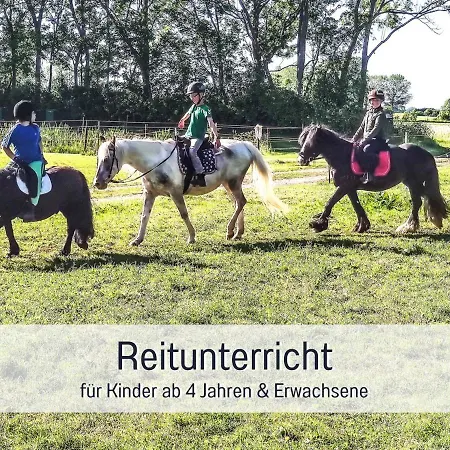 Bio Wichtelweide - Thymian * Fehmarn