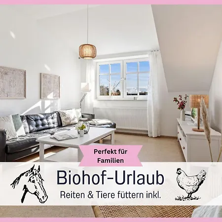 Bio Wichtelweide - Thymian * Fehmarn