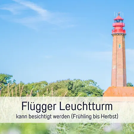 Bio Wichtelweide - Thymian * Fehmarn