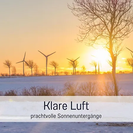 Bio Wichtelweide - Thymian *