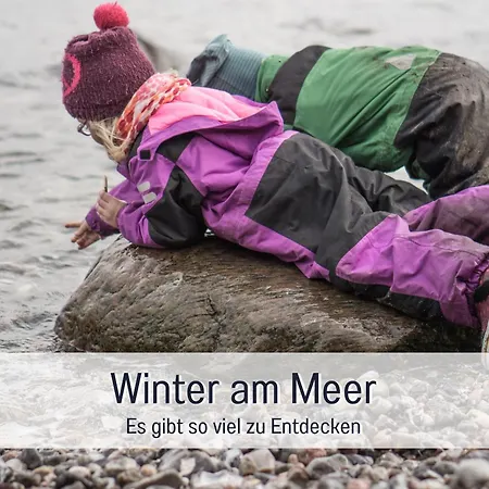 Bio Wichtelweide - Thymian * Fehmarn