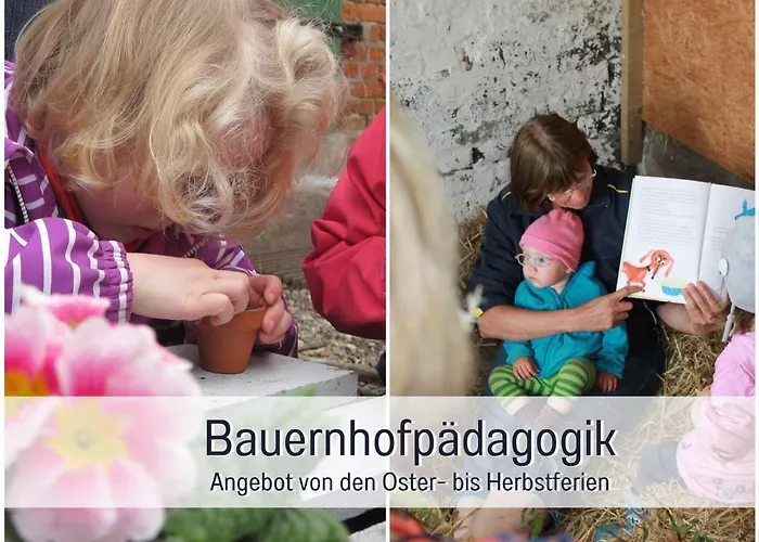 Bio Wichtelweide - Thymian Fehmarn