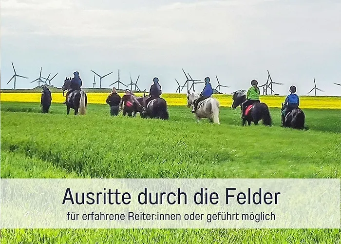 Apartment Bio Wichtelweide - Thymian Fehmarn