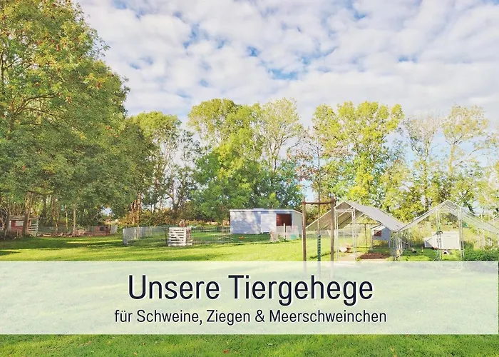 Bio Wichtelweide - Thymian *