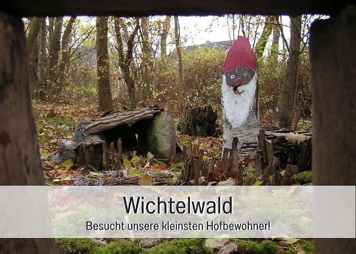 Bio Wichtelweide - Thymian * Fehmarn