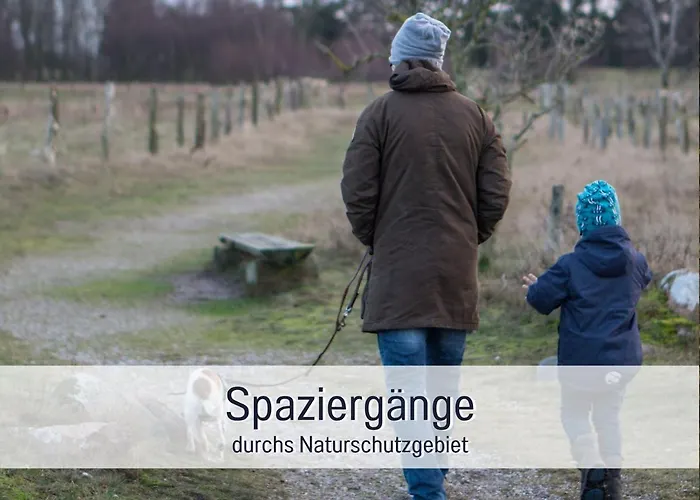 Bio Wichtelweide - Thymian *