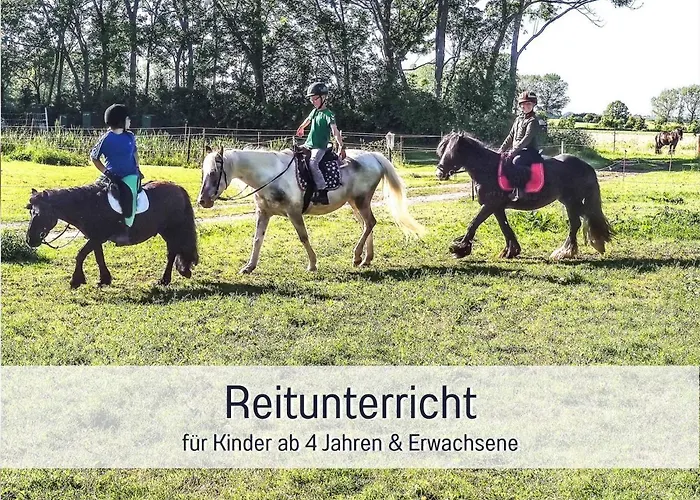 Bio Wichtelweide - Thymian * Fehmarn