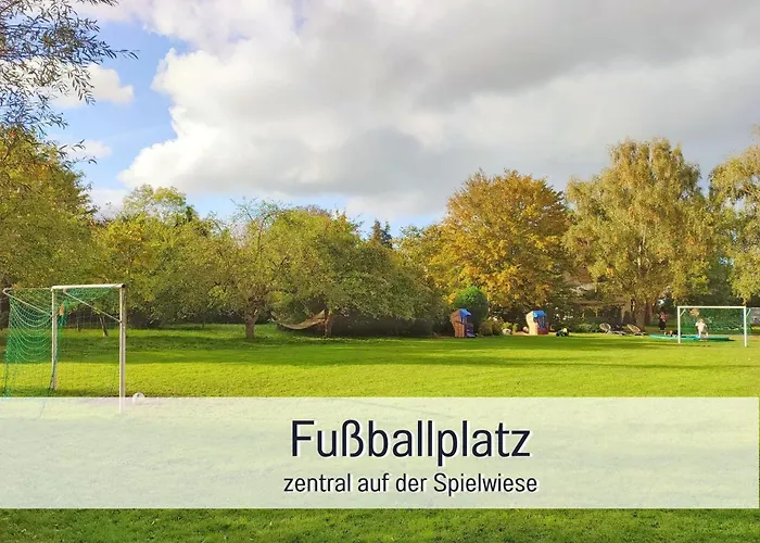 Bio Wichtelweide - Thymian * Fehmarn